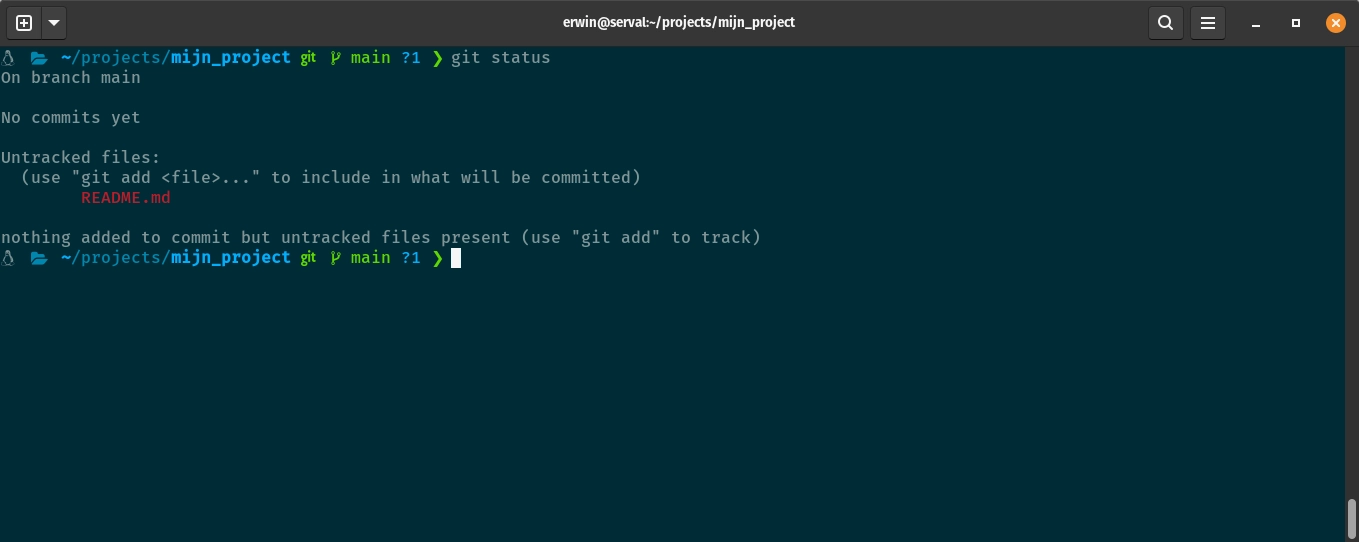 Git status